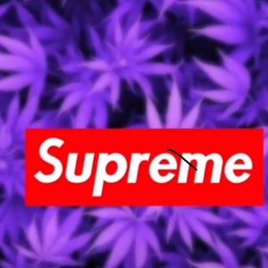 Meet your Posher, Braxton